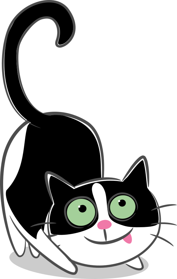 Bilan comportemental chat