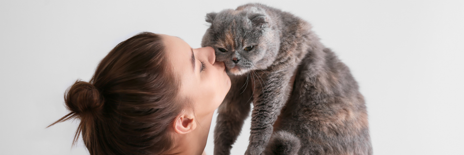 3 erreurs fréquentes avec son chat